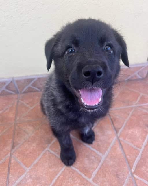 Tabita could be your new best friend!