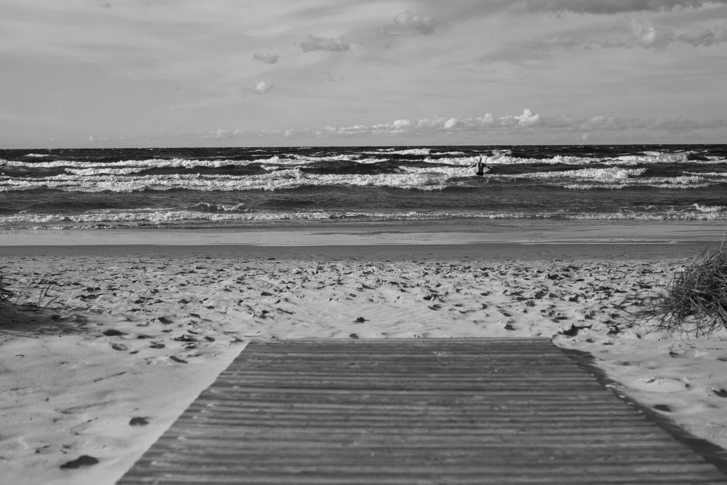 aleksandrs-karevs-unsplash