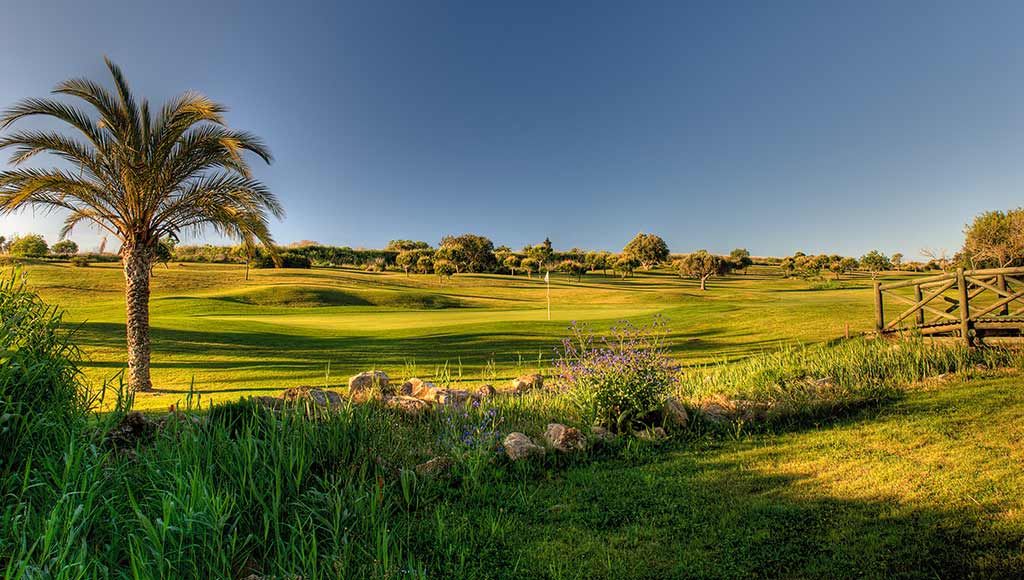 Partial view of Boavista's golf course