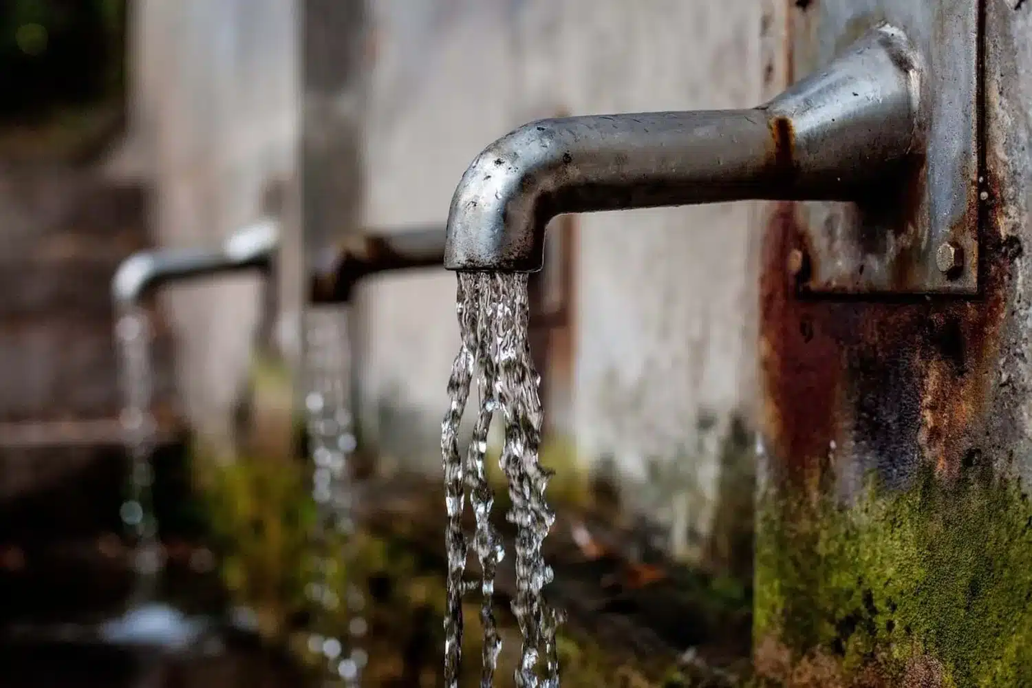 Deaths in Portugal from contaminated water sources at “highest rate since at least 2010”
