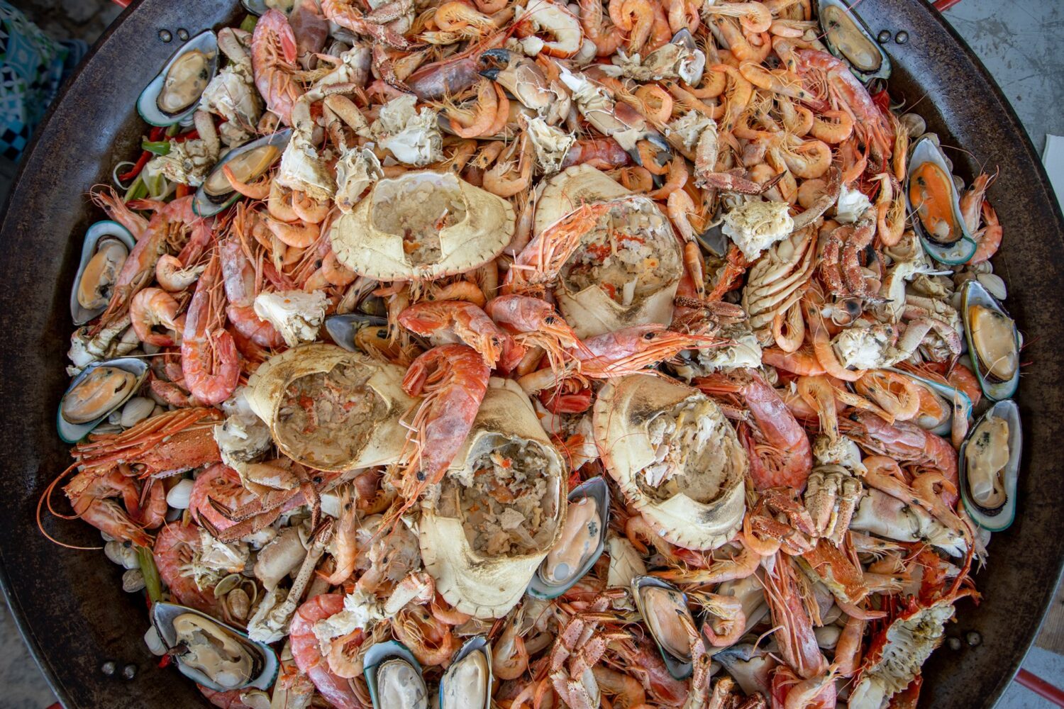 2019-131-festival-marisco-olhao-2019-18