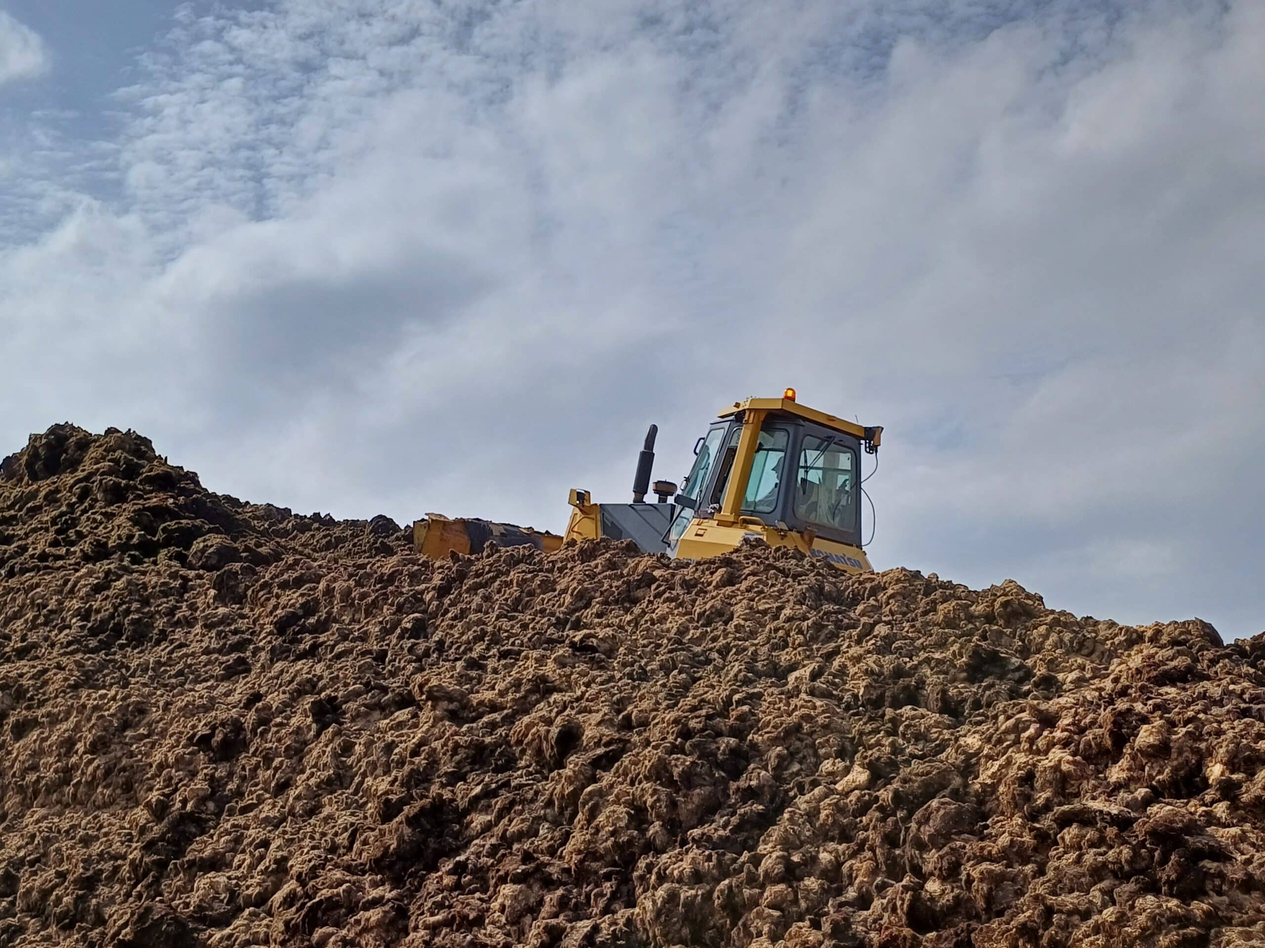 Algarve unites against invasive seaweed threatening coastline