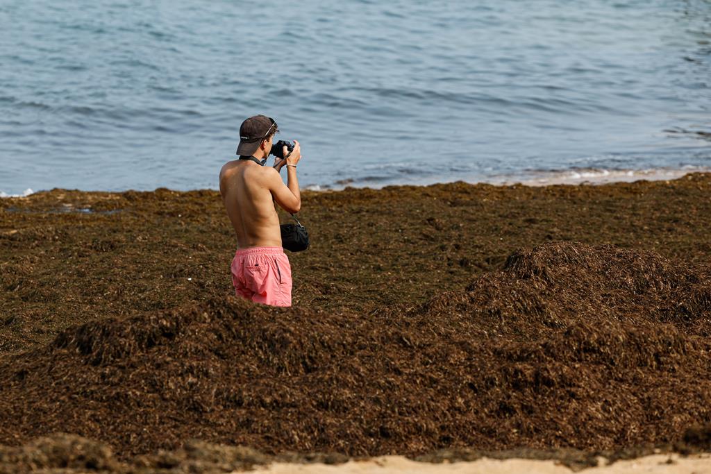 It's safe to go in the water - but can you cope with the struggle? Image of algae invading the Algarve coast by Luís Forra/ Lusa