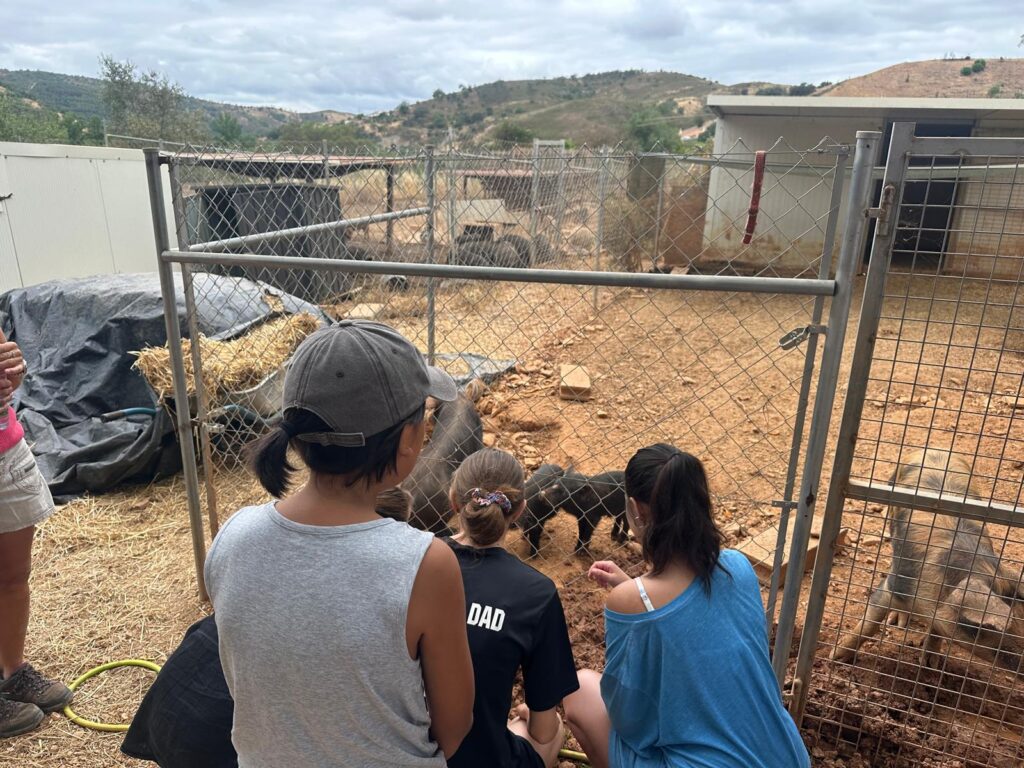 Brave Generation visit to Wigglestail