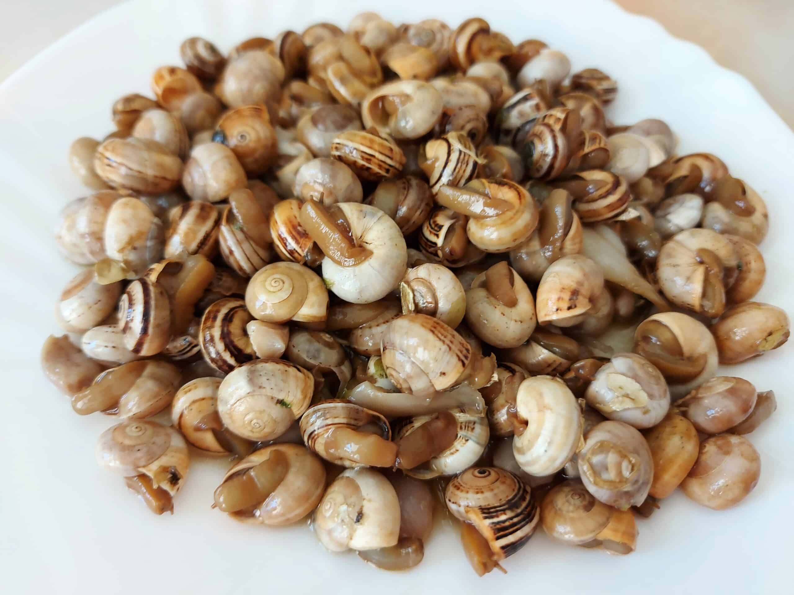 Castro Marim cooks up a snail party