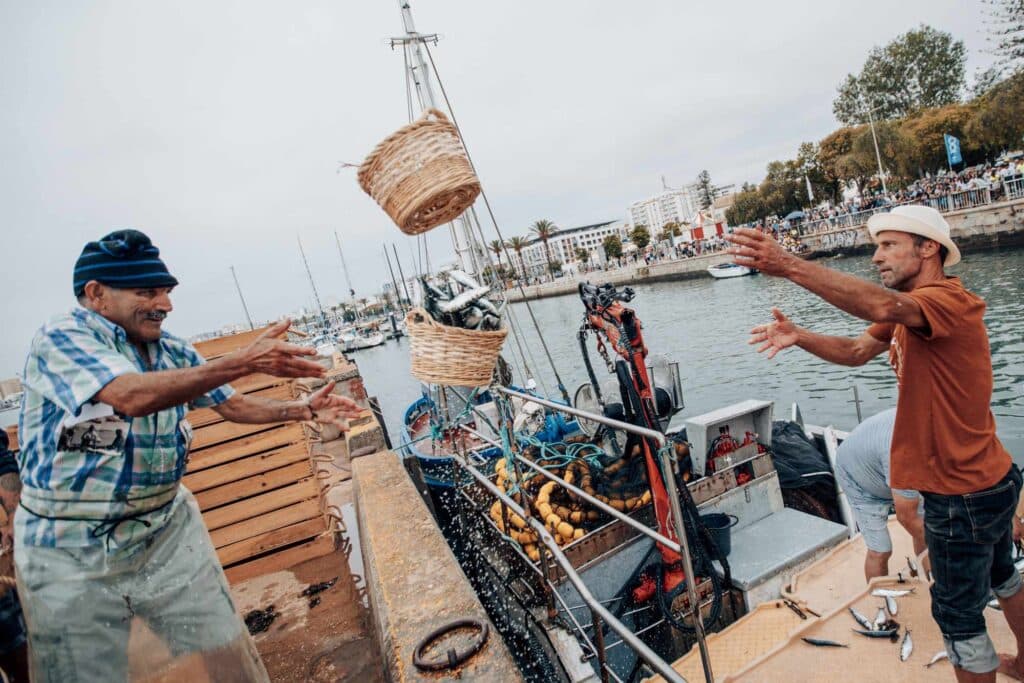 DESCARGA DA SARDINHA