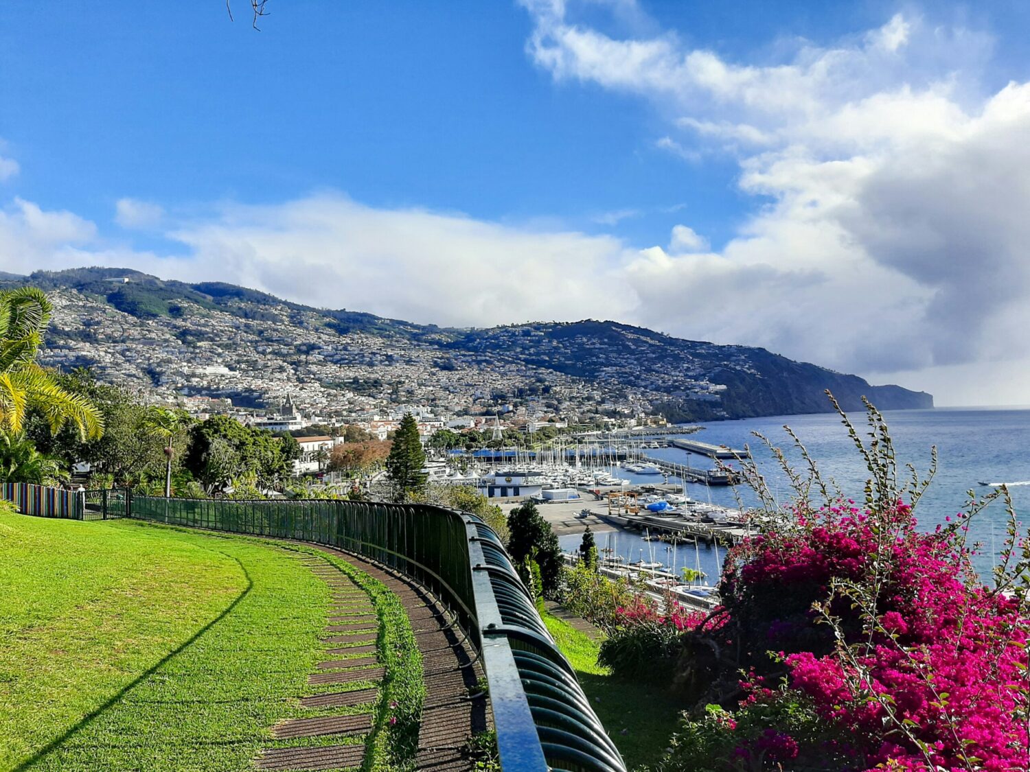 Funchal, Madeira - Photo: Sofia Vila Flor/Unsplash
