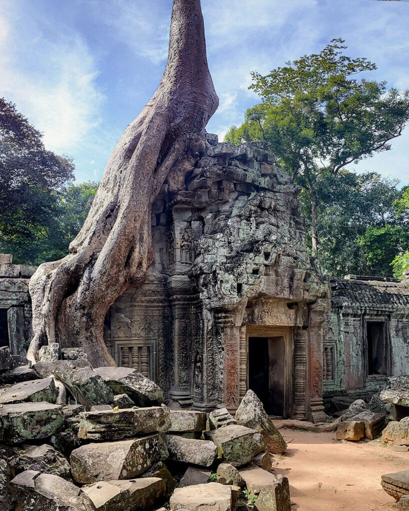 Giant roots at Ta Prohm
