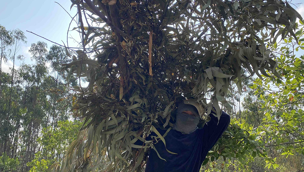 Employee #1: Krishna’s been making a huge impact in his first couple of weeks