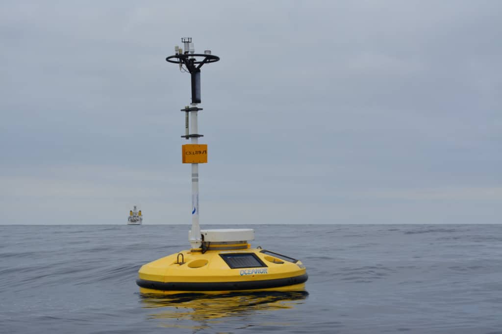 Marine heatwave detected in Algarve waters