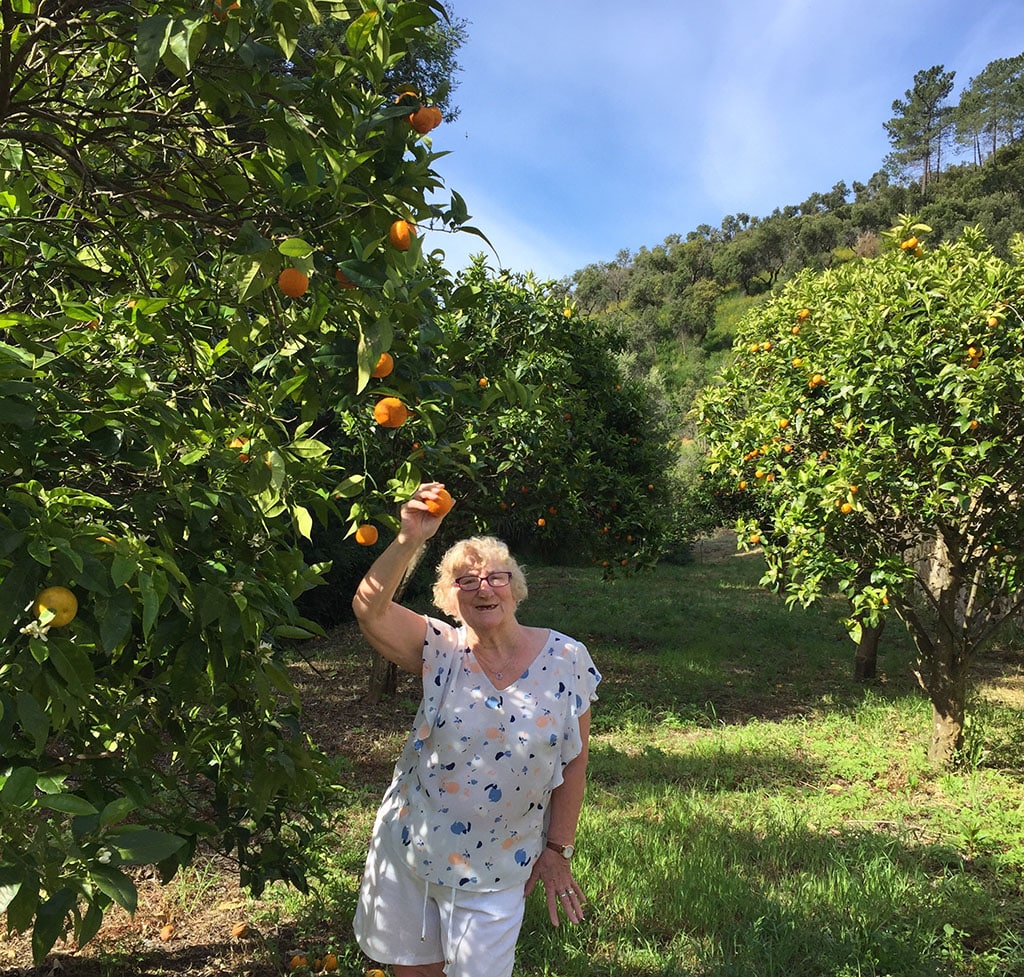 Mum picking oranges from the land