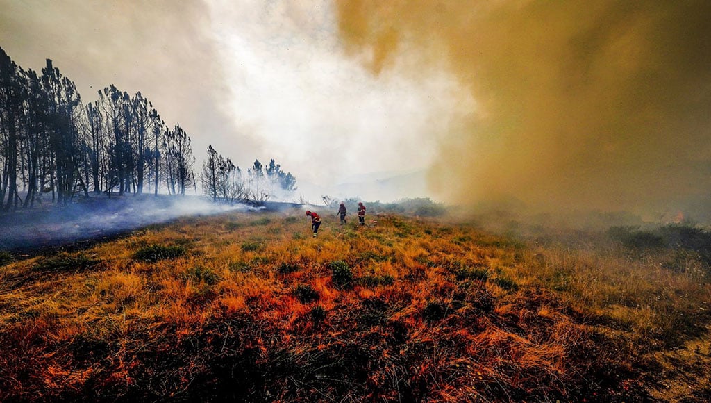 Firefighters fight the flames surrounding the village of Ancede during a wildfire in the municipality of Baiao, northern Portugal, July 15, 2022. (EPA Photo)