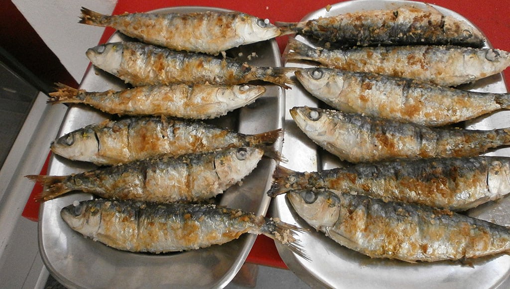 Succulent Sardines