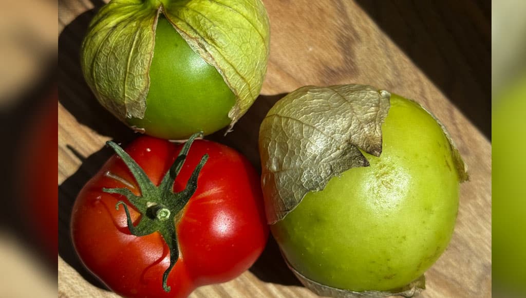 Tomatillos and tomato