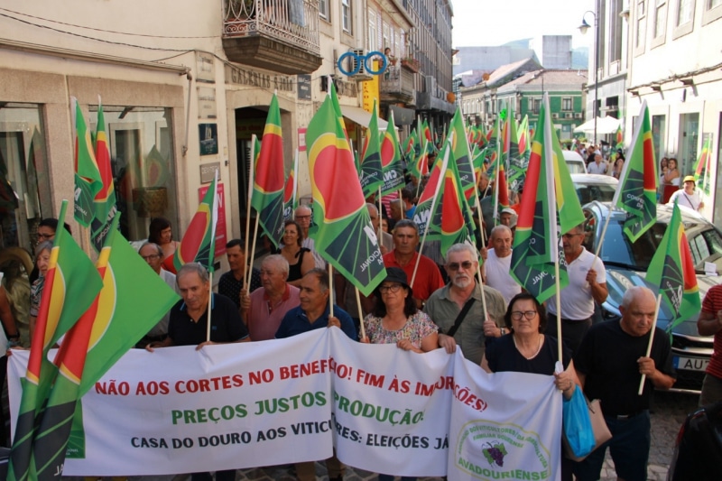 Douro crisis: hundreds of wine producers take to streets to demand solutions