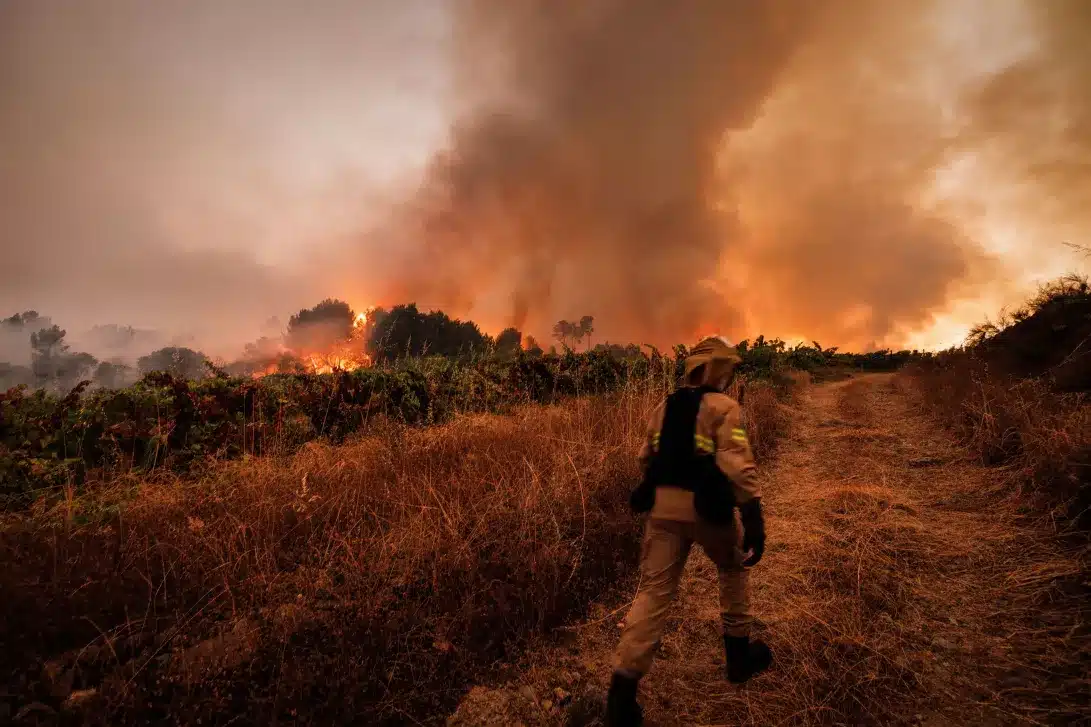 Nowhere is 'safe' from a stray spark now. The risk will remain until temperatures fall at the end of the summer. Image: Pedro Sarmento Costa/ Lusa