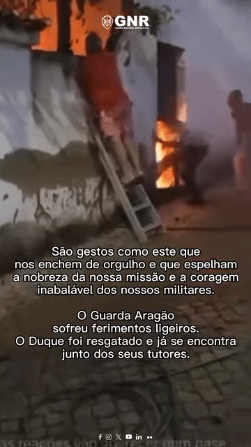 videoframe_5405