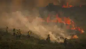 Three new fires break out in north, while Vila Real blaze enters second week