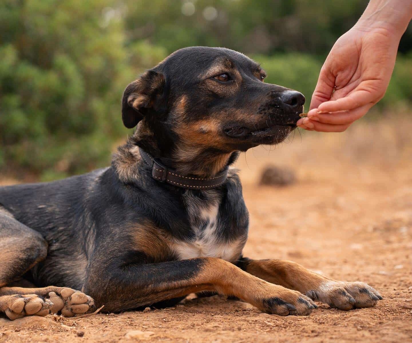 Charlie needs a present and attentive family