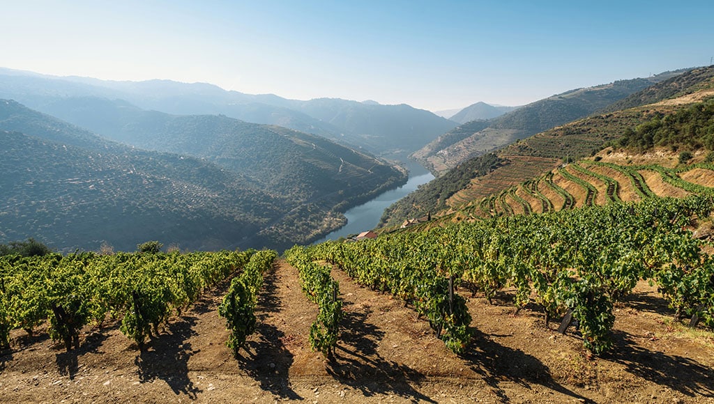 Douro (Maksym Kaharlytskyi - Unsplash)