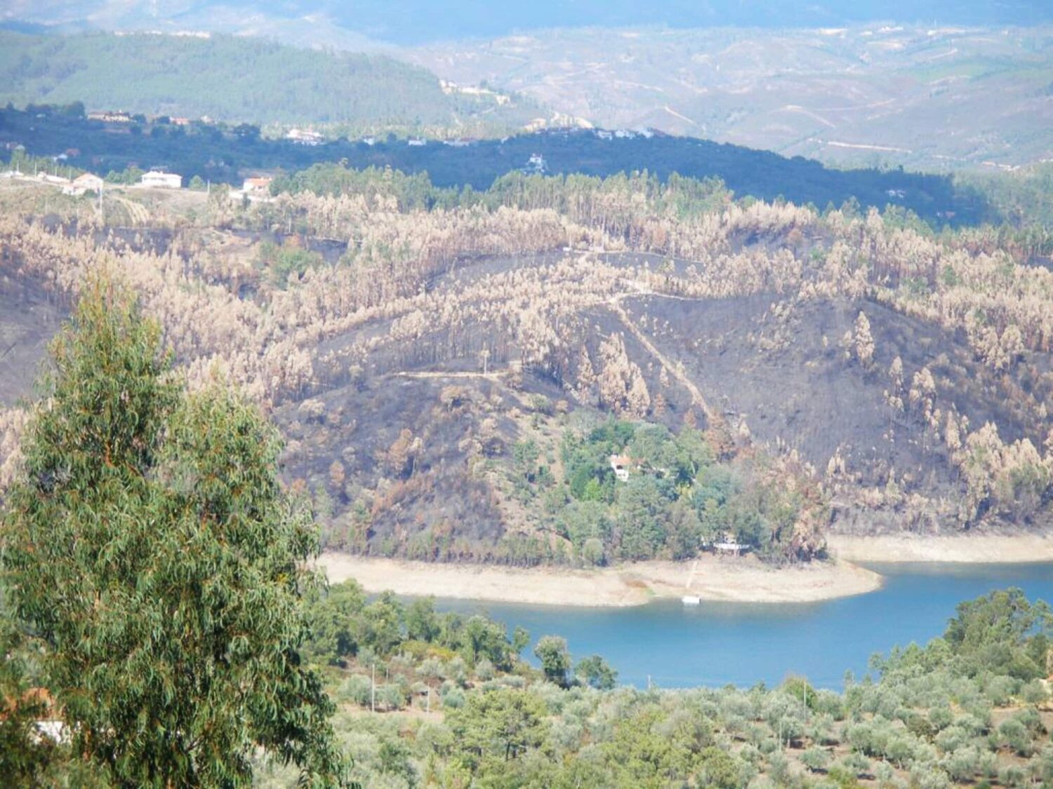 2005 fire - Albufeira do Castelo de Bode