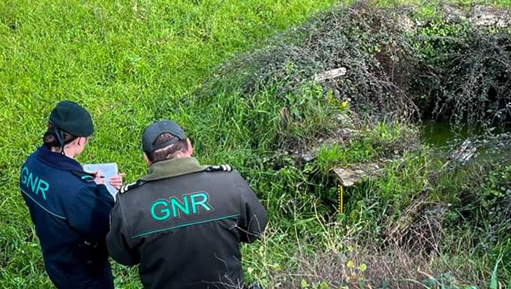 GNR Wells - David thomas