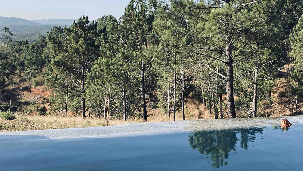 The toad’s in: Even occasional visitors enjoy our inifinity pool