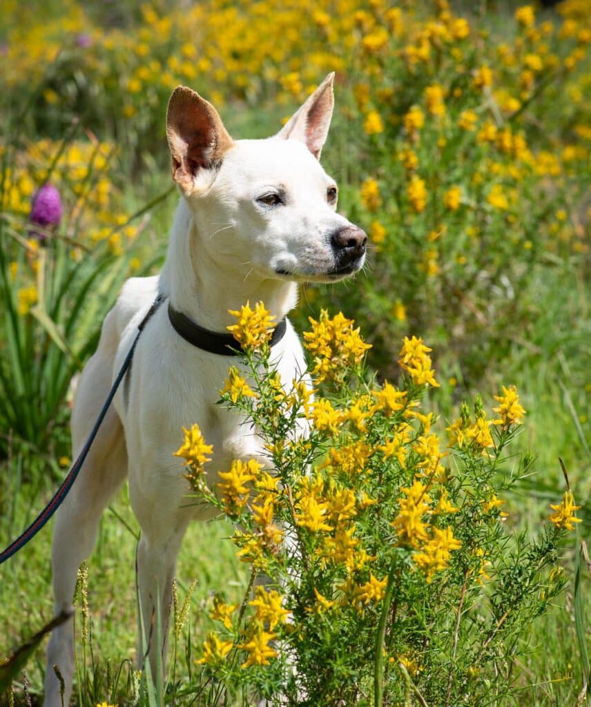 Micky would benefit from feeling protected