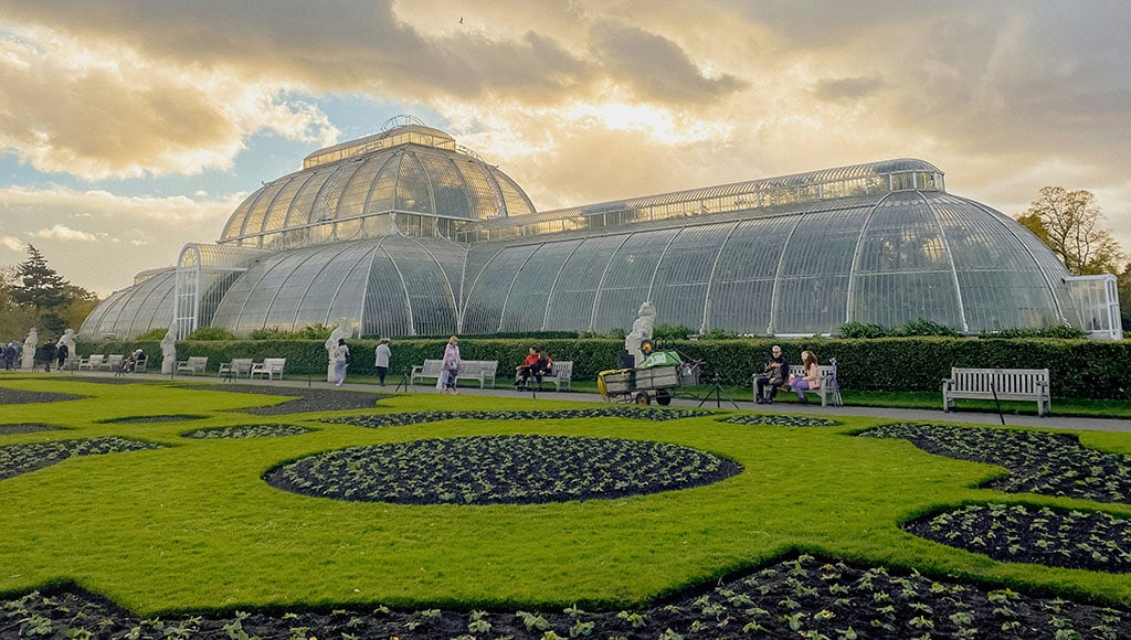 Palm House (Emily Underworld-unsplash)