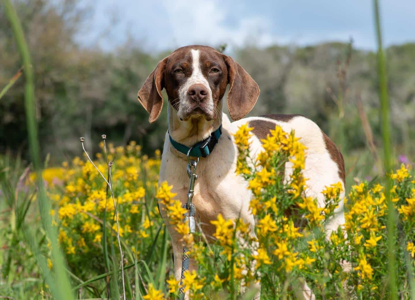Peach is both curious and active