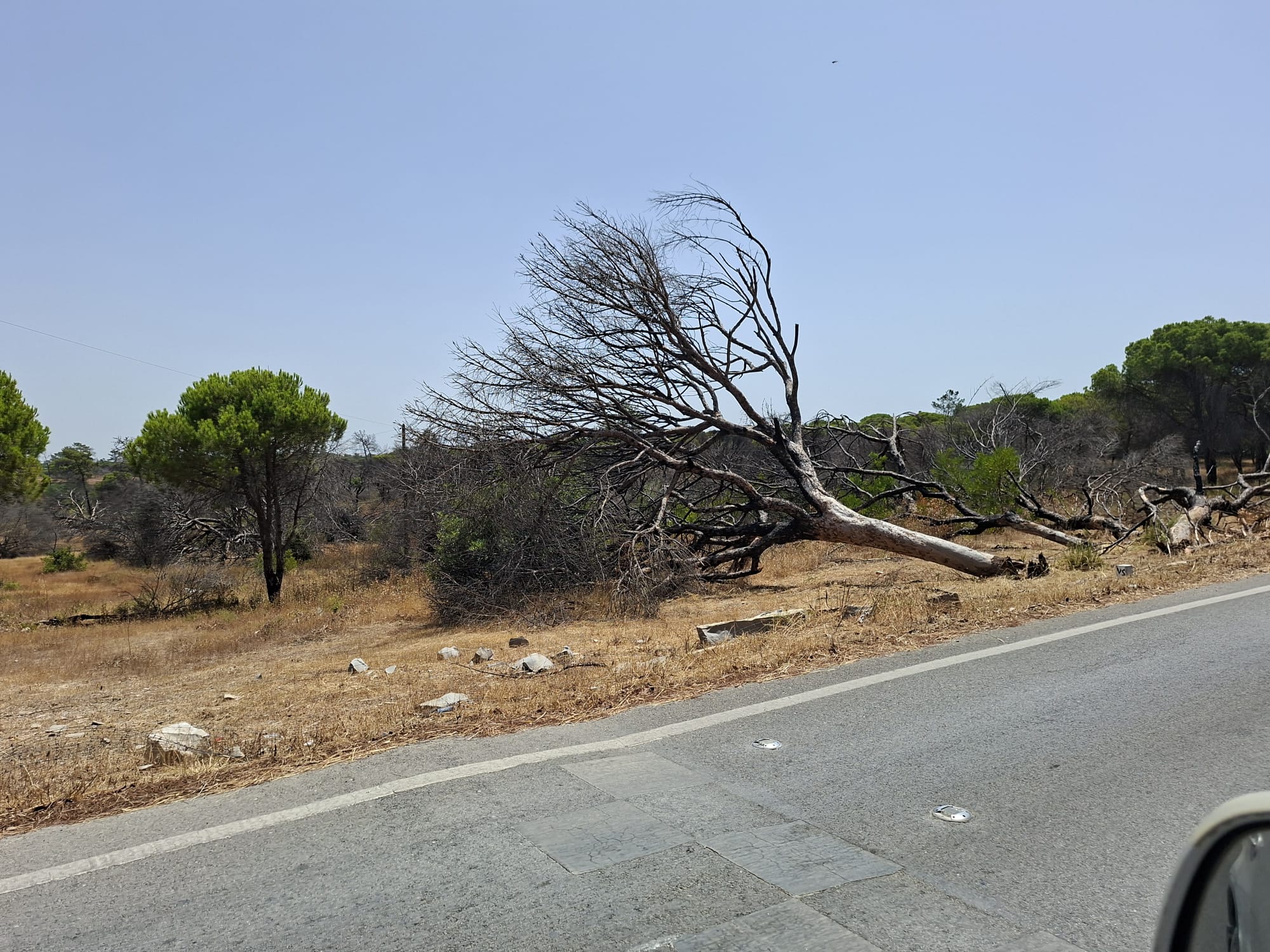 WhatsApp Image 2025-08-11 at 13.26.39_2ddea9a7