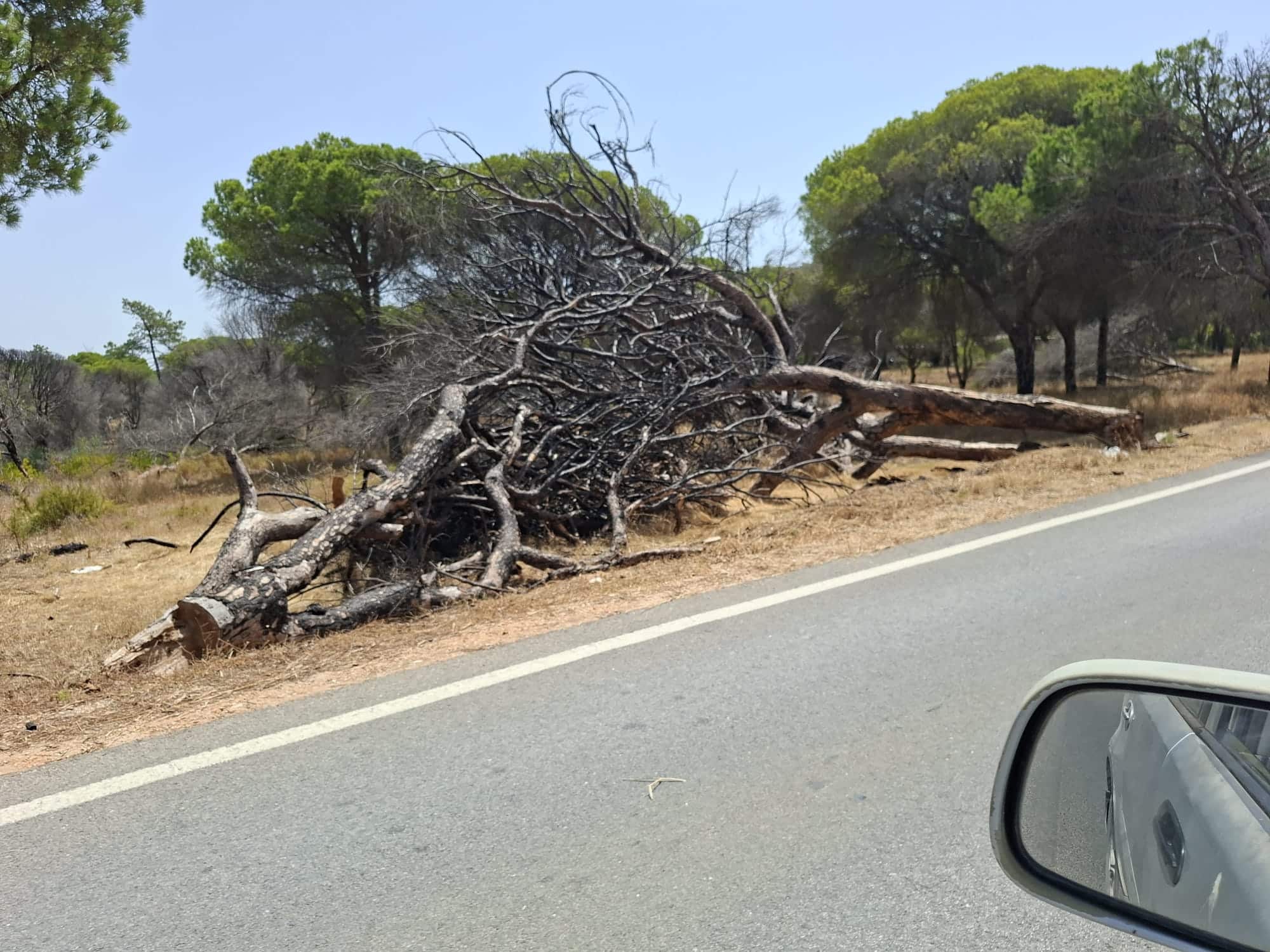 Alert to fire hazards in plain sight in Golden Triangle