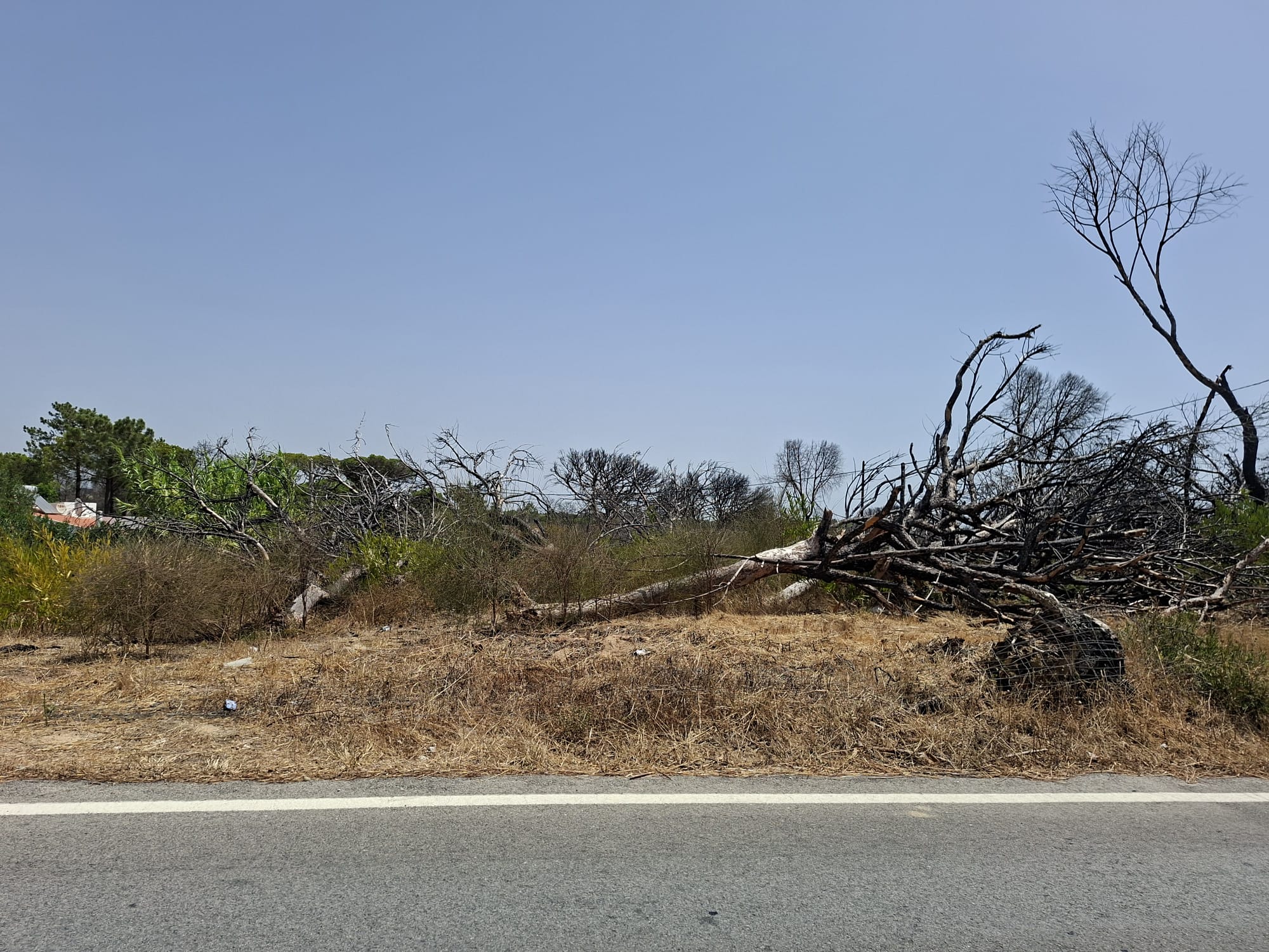 WhatsApp Image 2025-08-11 at 13.26.39_f9e77d52