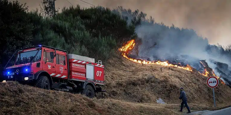 Almost 2,000 firefighters battle flames assailing Portugal’s north and centre regions