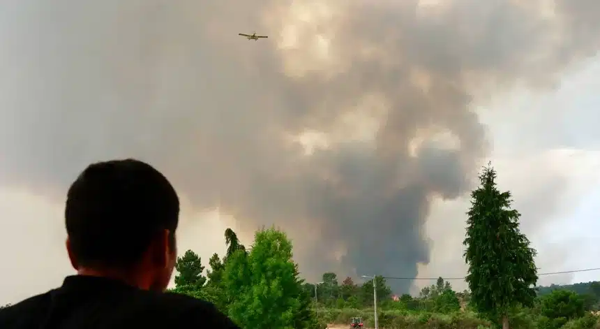 Impact of Portugal’s wildfires on economy already estimated at €700 million