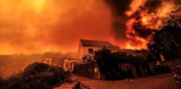 Another shocking image of Portugal's wildfire drama from Pedro Sarmento Costa/ Lusa