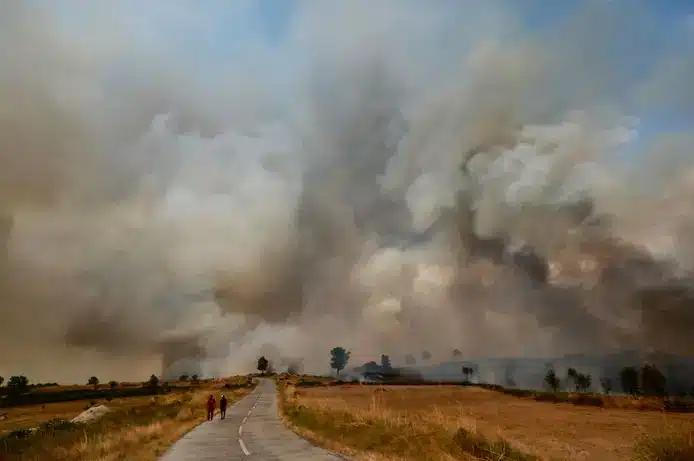 The Sabugal fire is now in resolution. Image: Miguel Pereira da Silva/ Lusa