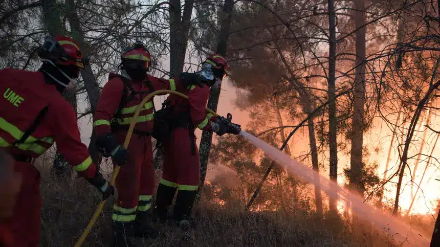 New wildfire breaks out in Montalegre at 1.20am