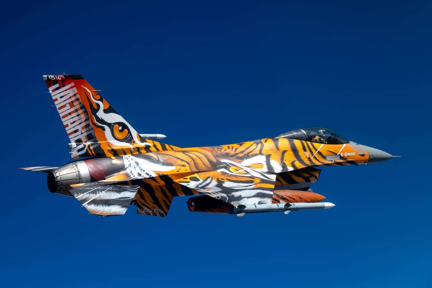 The Portuguese Air Force unveiled its commemorative F-16M for this year's NATO Tiger Meet ongoing at Beja Air Base. Image: FAP