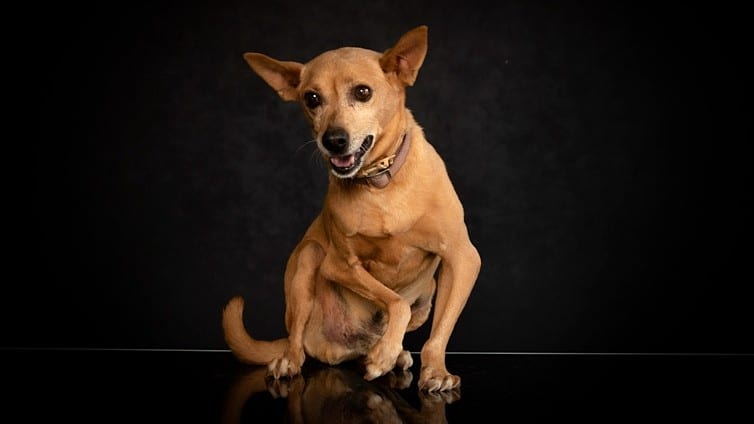 A powerful image of Tahini