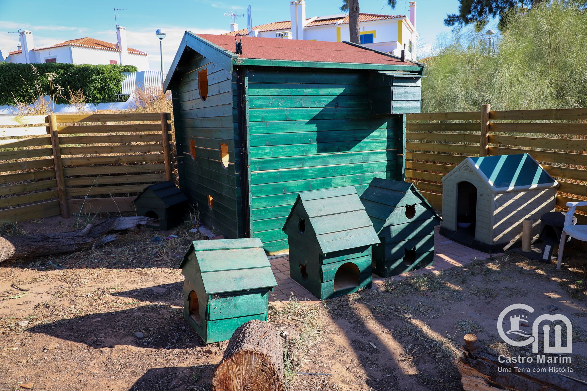 Castro Marim invests in better lives for cats and dogs