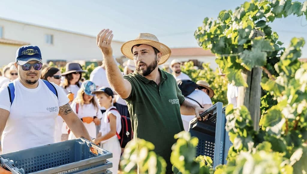 Duarte Rito, wine tourism manager, Cabrita Wines - Photo Portugal by Wine