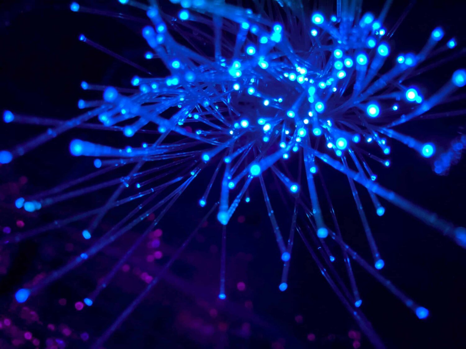 Fibre optic (JJ Ying-unsplash)