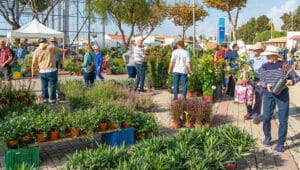 Autumn Mediterranean Garden Fair 2025 returns to Lagoa in October