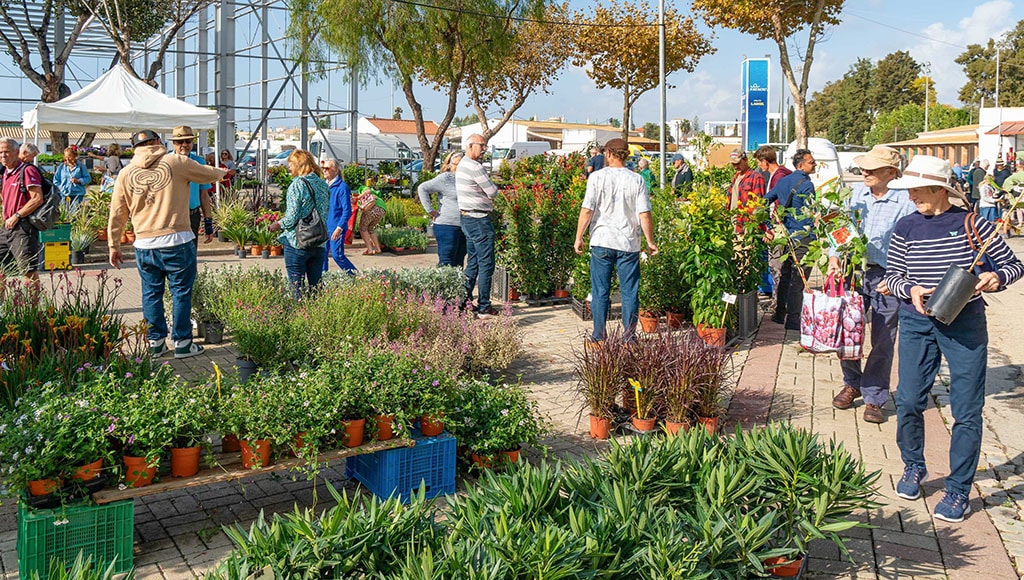General view of last year's event - Photo Eric Roth