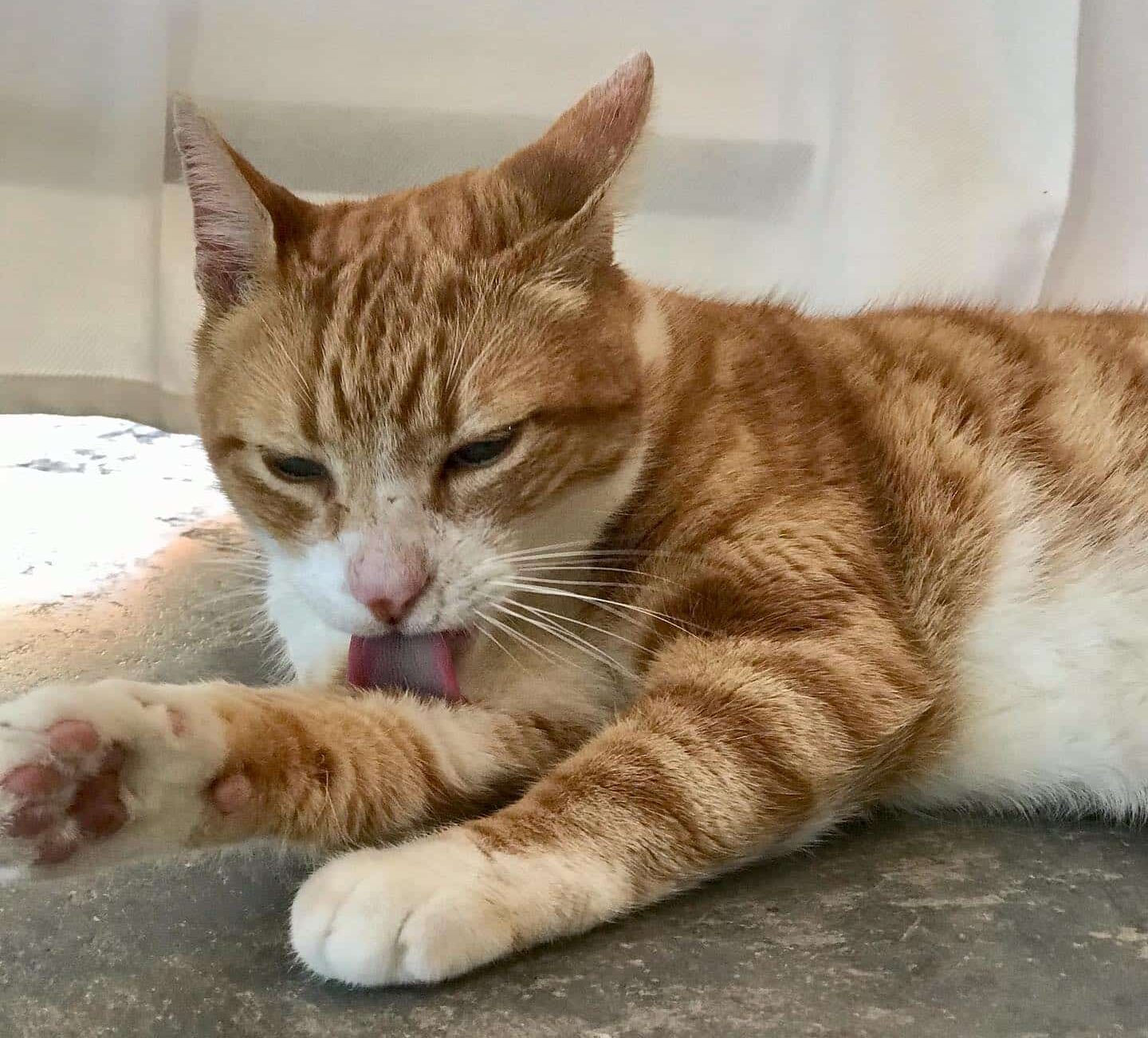 Geoff is five years old