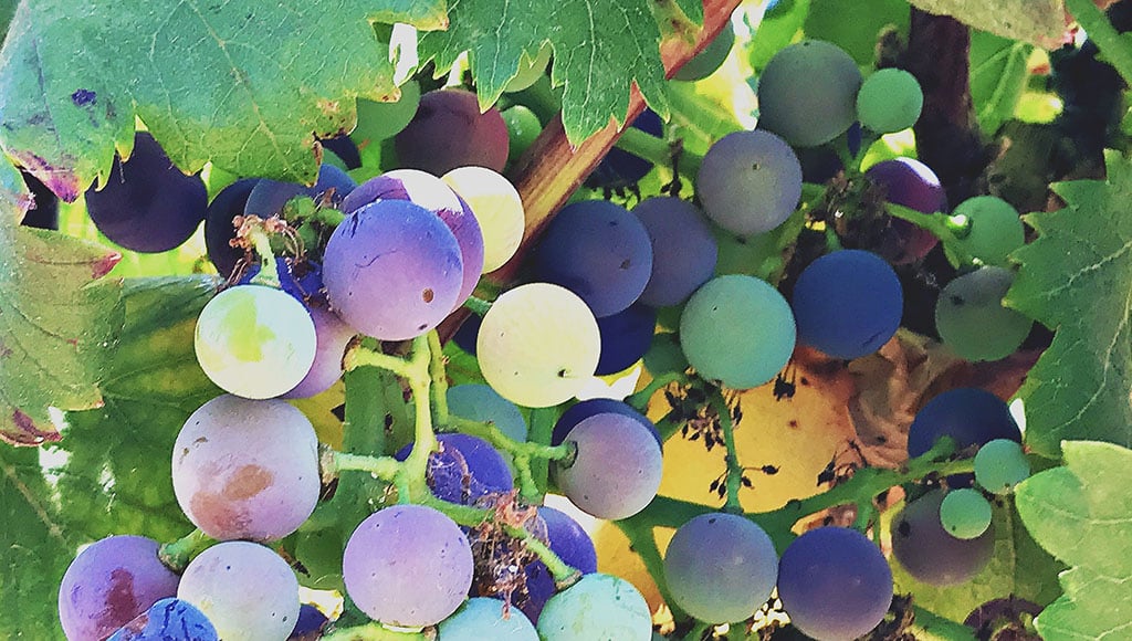 HipstamaticPhoto-615736805.766089