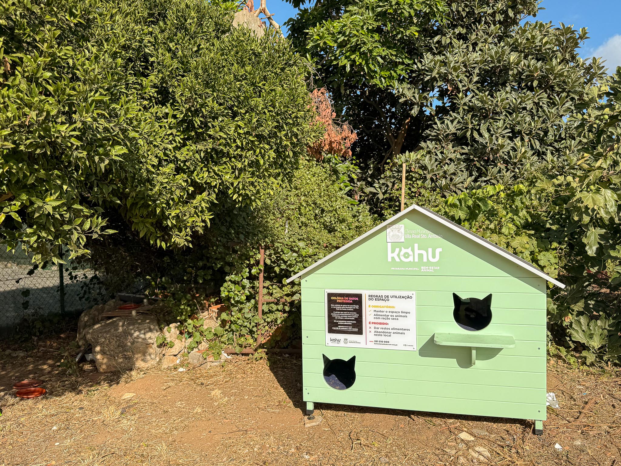 VRSA launches program to protect stray cat colonies