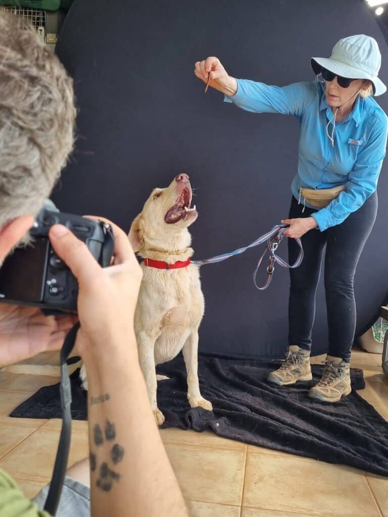 Lobito being photographed