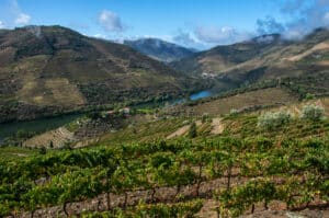 Is the Douro sustainable?
